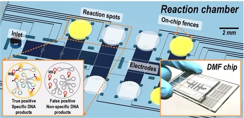 數位微流控系統(tǒng)寄生蟲檢測工具