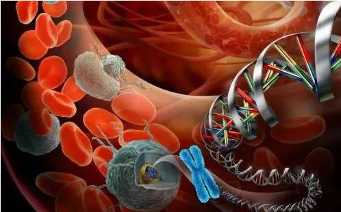 循環(huán)腫瘤細胞（CTC）在精準醫(yī)療領域的應用