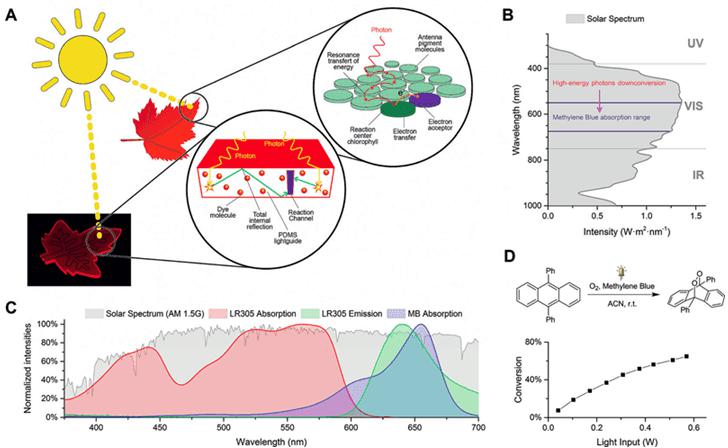圖1. A.仿葉片微流控光催化裝置的工作原理；B和C.甲基藍(lán)（MB）與LR305熒光染料的吸收光譜在太陽光譜中的位置；D. 9,10-二苯基蒽在單線態(tài)氧下的環(huán)化加成反應(yīng)。圖片來源：Angew. Chem. Int. Ed.