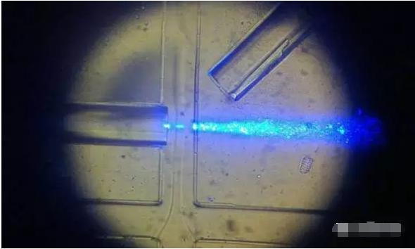 工作中的新型設(shè)備:光纖發(fā)出藍(lán)光,照亮從左向右流動(dòng)的細(xì)胞樣本。(圖片來(lái)源:URV) 工作中的新型設(shè)備:光纖發(fā)出藍(lán)光,照亮從左向右流動(dòng)的細(xì)胞樣本。(圖片來(lái)源:URV)