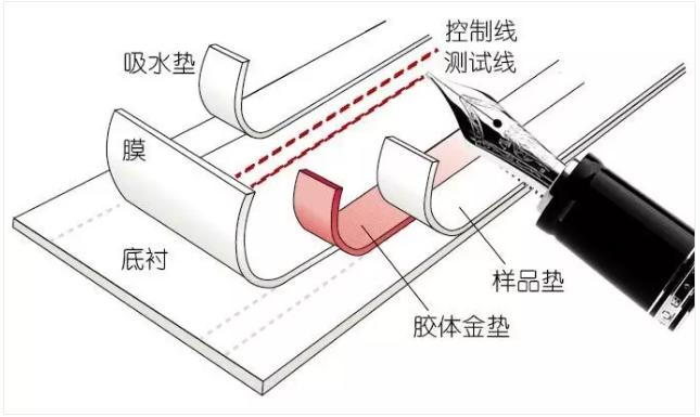 圖2&nbsp;免疫層析產(chǎn)品的制造過程