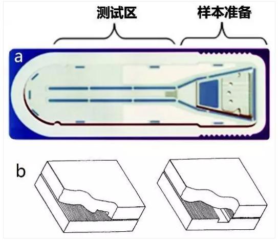 圖3 Biosite微流體測試卡結(jié)構(gòu)