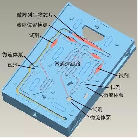 圖3 理邦m16微流控測試卡結(jié)構(gòu)