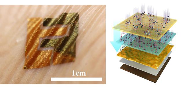 類皮膚生物傳感器及結構示意圖 類皮膚生物傳感器及結構示意圖