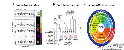 檢測腫瘤進展期間臨床相關的基因變異