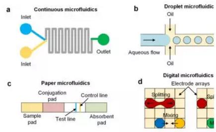 氯胺酮的抗抑郁效果或與腸-腦軸相關 氯胺酮的抗抑郁效果或與腸-腦軸相關