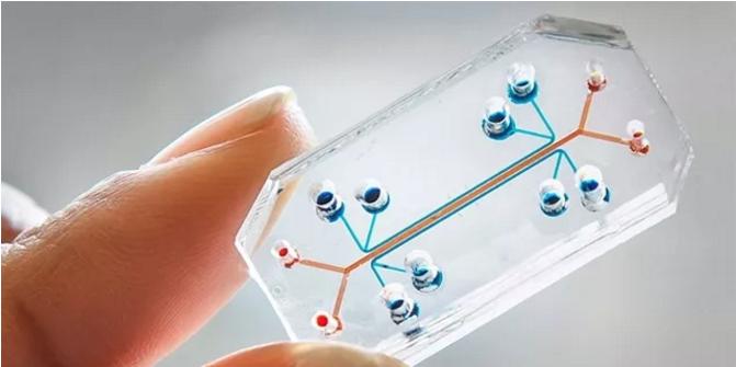 微流控生物芯片 微流控生物芯片