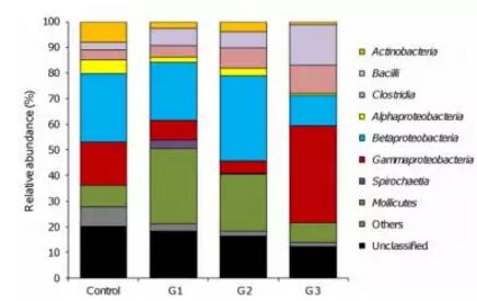 微流控到底如何用于菌群研究 微流控到底如何用于菌群研究