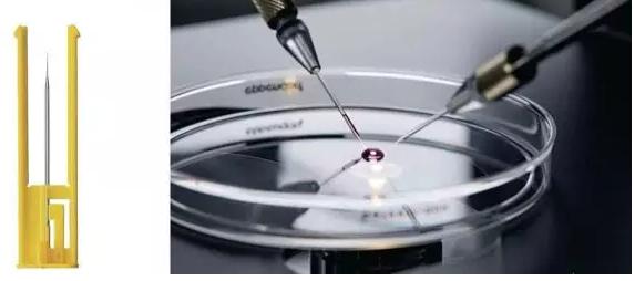 顯微操作法（Micromanipulator）
