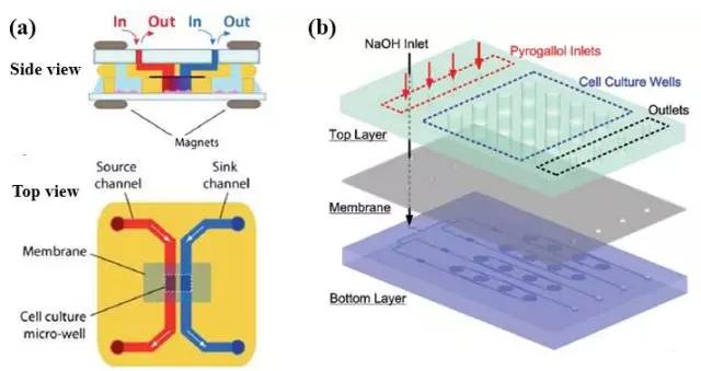圖2 “薄膜”結構