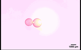 圖4. “齒輪”型液滴機械系統。