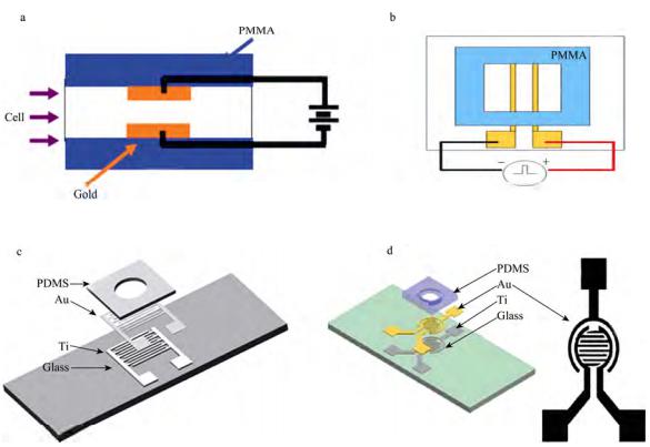 圖3四種電穿孔芯片