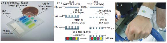 圖 2 可穿戴式汗液pH值檢測微流控系統(tǒng) 圖 2 可穿戴式汗液pH值檢測微流控系統(tǒng)