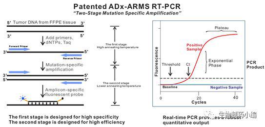 人類EGFR基因普通便檢測試劑盒（多重?zé)晒釶CR法）