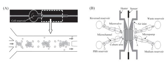微流控芯片來培養細胞