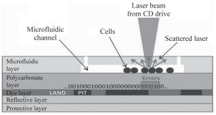 圖4微流控芯片細胞計數研究 圖4微流控芯片細胞計數研究