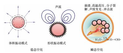 圖2單個氣泡的聲空化行為