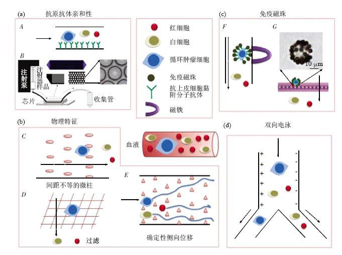 圖1微流控芯片捕獲CTCs各類芯片結構示意圖