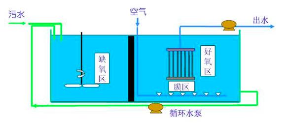 微流控生物反應器的前景