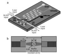 圖4生物芯片和纖維布拉格光柵