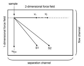 圖5芯片二維分離機理示意圖