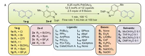 Suzuki-Miyaura偶聯(lián)反應(yīng)模型(圖片來源:《科學(xué)》) Suzuki-Miyaura偶聯(lián)反應(yīng)模型(圖片來源:《科學(xué)》)