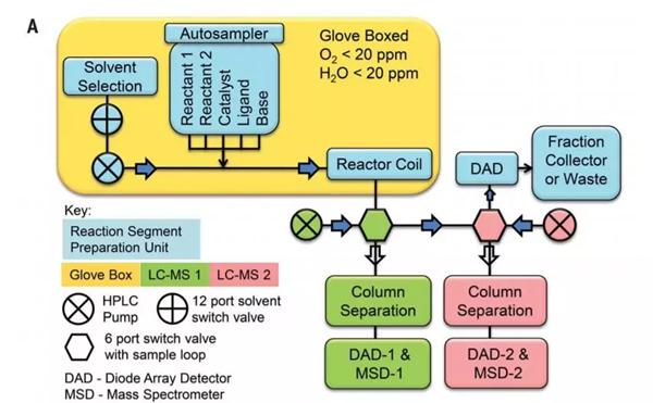 連續(xù)流平臺的自動取樣-反應(yīng)-分析平臺示意圖。考慮到待測的化學(xué)物質(zhì)可能對空氣和濕度敏感,作者將反應(yīng)器組裝在手套箱環(huán)境中(圖片來源:《科學(xué)》) 連續(xù)流平臺的自動取樣-反應(yīng)-分析平臺示意圖。考慮到待測的化學(xué)物質(zhì)可能對空氣和濕度敏感,作者將反應(yīng)器組裝在手套箱環(huán)境中(圖片來源:《科學(xué)》)
