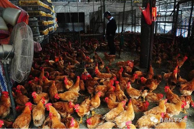 食品中抗病毒類藥物殘留檢測方法研究進(jìn)展