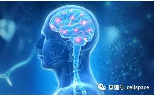 從實際應用出發，讓標志物助力精準診斷