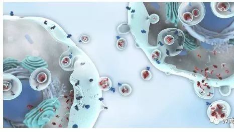 眾望所歸，液體活檢技術(shù)將迎來(lái)全新發(fā)展時(shí)代