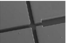 熱固性聚酯(TPE) 微流控芯片 熱固性聚酯(TPE) 微流控芯片