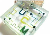 聚苯乙烯(PS) 微流控芯片 聚苯乙烯(PS) 微流控芯片