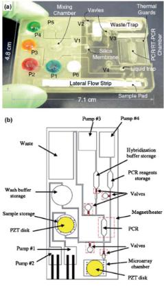 聚碳酸酯微流體盒,其中袋填充染料更好的可視化,他們被設(shè)計(jì)來存儲(chǔ)各種試劑和緩沖區(qū) 聚碳酸酯微流體盒,其中袋填充染料更好的可視化,他們被設(shè)計(jì)來存儲(chǔ)各種試劑和緩沖區(qū)