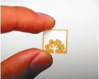 紙 基微流控芯片 紙 基微流控芯片