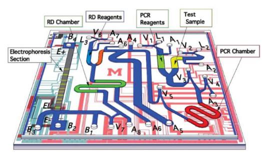 來自Pal等具有集成電泳分析的微流控PCR芯片, 來自Pal等具有集成電泳分析的微流控PCR芯片,