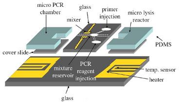 PCR芯片中的薄膜加熱器 PCR芯片中的薄膜加熱器
