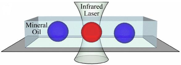 激光加熱PCR液滴膜 激光加熱PCR液滴膜