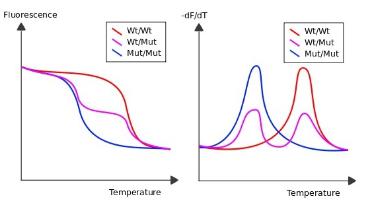 嵌入劑qPCR的解析曲線分析 嵌入劑qPCR的解析曲線分析