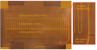Microfluidic Continuous Flow/Flow-through system for 30 PCR cycles with the different heating zones pointed out Microfluidic Continuous Flow/Flow-through system for 30 PCR cycles with the different heating zones pointed out