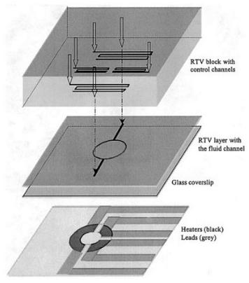 Microfluidic Oscillating flow PCR chip. The 1st RTV layer correspond to the PDMS Quake valve and the second one to the PDMS microfluidic channels for PCR sample. Microfluidic Oscillating flow PCR chip. The 1st RTV layer correspond to the PDMS Quake valve and the second one to the PDMS microfluidic channels for PCR sample.