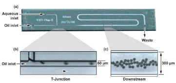 初期數字微流體裝置 初期數字微流體裝置