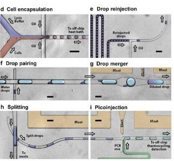 用于單細胞分析的微流體液滴qRT-PCR裝置來自Eastburn等,Analytical Chemistry,2013 用于單細胞分析的微流體液滴qRT-PCR裝置來自Eastburn等,Analytical Chemistry,2013