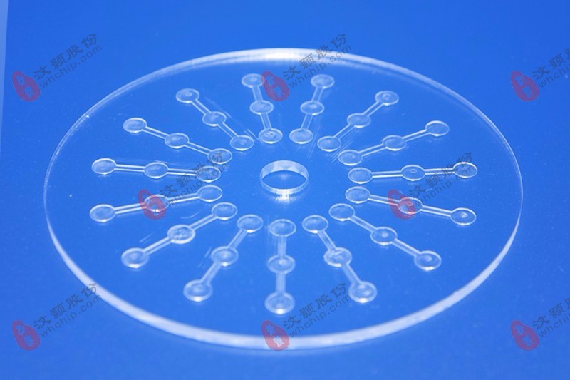 Custom Microfluidic chip for heavy metal ion detection Custom Microfluidic chip for heavy metal ion detection