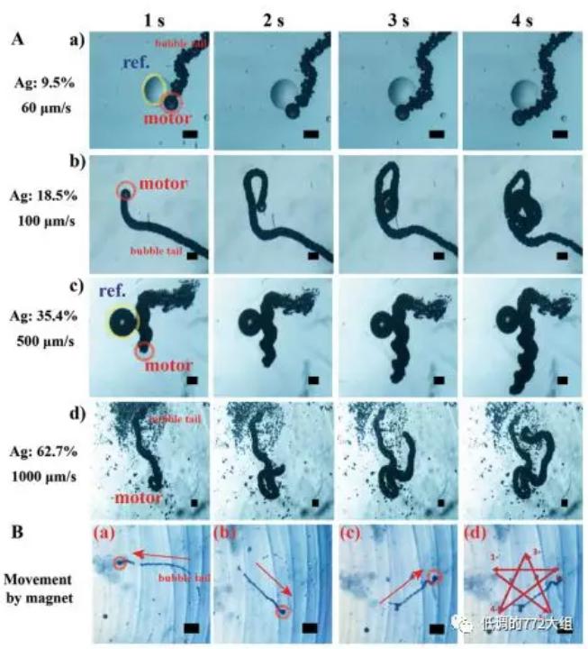 圖3. 不同Ag顆粒表面濃度的自驅動微馬達驅動速度和在磁場作用下的五角星運動軌跡 圖3. 不同Ag顆粒表面濃度的自驅動微馬達驅動速度和在磁場作用下的五角星運動軌跡