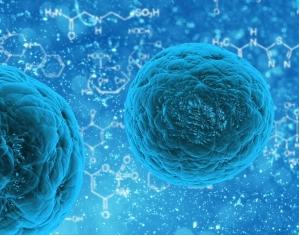 3D細(xì)胞培養(yǎng) 3D細(xì)胞培養(yǎng)