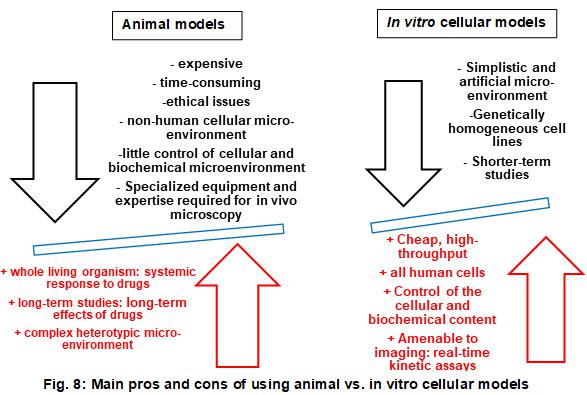 大多數(shù)優(yōu)點和缺點適用于整個體外模型，即2D和3D蜂窩系統(tǒng)