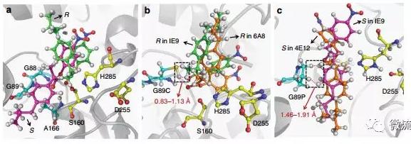 針對該問題,上海交通大學楊廣宇研究員團隊建立了基于雙通道液滴微流控技術的酶立體選擇性超高通量篩選方法,能夠在微液滴中以高達每天107個突變體的速度同時檢測目標酶對兩種對映體底物的催化活性,并高效分選出陽性個體。 針對該問題,上海交通大學楊廣宇研究員團隊建立了基于雙通道液滴微流控技術的酶立體選擇性超高通量篩選方法,能夠在微液滴中以高達每天107個突變體的速度同時檢測目標酶對兩種對映體底物的催化活性,并高效分選出陽性個體。