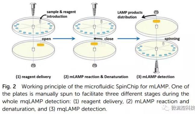 紙基聚合物基混合可旋轉微流控芯片實現多種傳染性疾病的及時定量診斷 紙基聚合物基混合可旋轉微流控芯片實現多種傳染性疾病的及時定量診斷