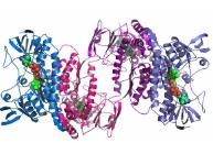 芯片實驗室和蛋白質組學
