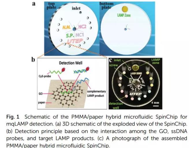 紙基聚合物基混合可旋轉微流控芯片實現多種傳染性疾病的及時定量診斷 紙基聚合物基混合可旋轉微流控芯片實現多種傳染性疾病的及時定量診斷